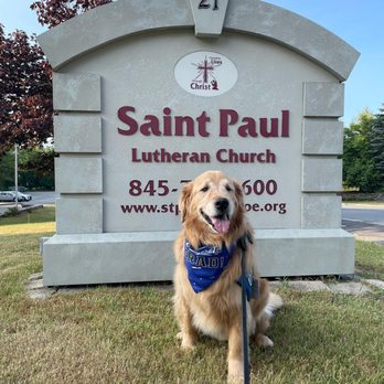 St Paul Lutheran Church - Abraham the Lutheran K9 in front of the St. Paul Lutheran Church Sign - Churches Near Me - Monroe, New York St Paul Lutheran Church - Abraham the Lutheran K9 in front of the St. Paul Lutheran Church Sign - Churches Near Me - Monroe, New York