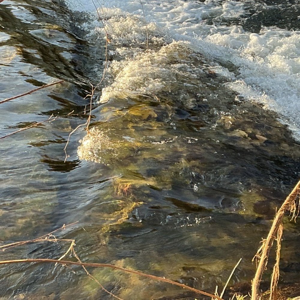 New River Trail State Park - Parks Near Me - Meadows, Virginia