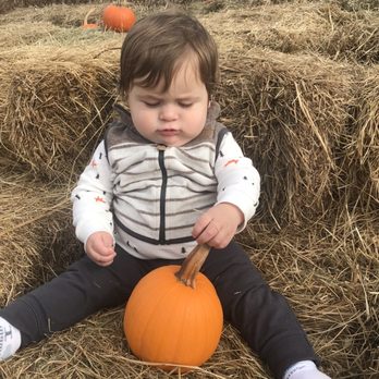 Amazing Farm Fun - Farmers Market Near Me - Chantilly, Virginia Amazing Farm Fun - Farmers Market Near Me - Chantilly, Virginia