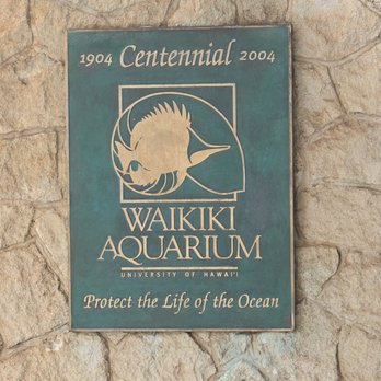 Waikiki Aquarium - Aquariums Near Me - Honolulu, Hawaii Waikiki Aquarium - Aquariums Near Me - Honolulu, Hawaii