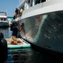Swift Spirit Mobile Boat Detailing
