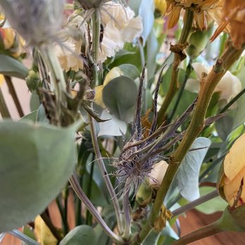 Edible Arrangements - wilted flowers - Gift Shops Near Me - Temecula, California