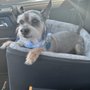Photo of Grooming By Gloria