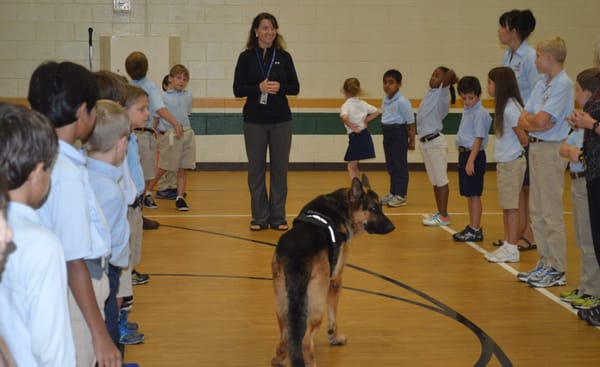 apple ridge german shepherds