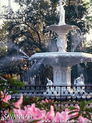 Forsyth Park by null