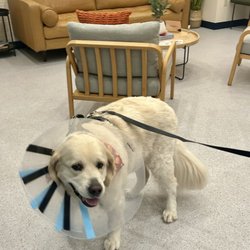 Bond Vet - Paramus