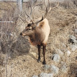 Jester Park Nature Center