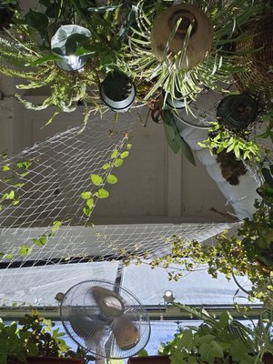 Yuko Kitchen DTLA by null