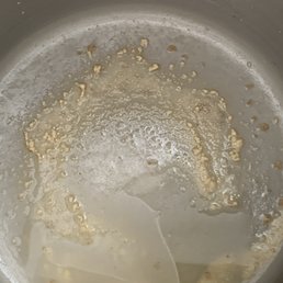 This is what's in LA tap water! Soooo nasty make sure you're only drinking THE BEST! Nothing beats The Water Plant!