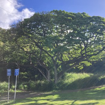 Moanalua Valley Trail - Hiking Near Me - Moanalua, Hawaii Moanalua Valley Trail - Hiking Near Me - Moanalua, Hawaii