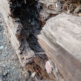 FCR Fence & Deck  - The "just fine" fence was literally rotting from the inside out. This is the inside of a 30 year old kickboard. - Fences & Gates Near Me - Martinez, California