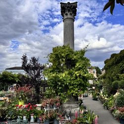 Clifton Nurseries