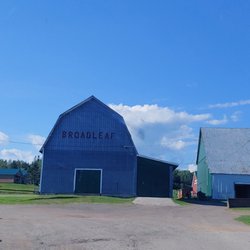 Broadleaf Guest Ranch