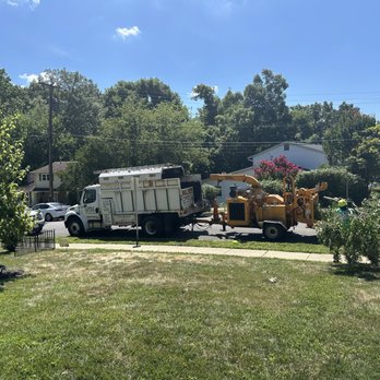 Lopez Tree Services - Tree Services Near Me - Alexandria, Virginia Lopez Tree Services - Tree Services Near Me - Alexandria, Virginia