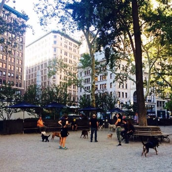 Madison Square Park Conservancy - Dog Parks Near Me - New York, New York Madison Square Park Conservancy - Dog Parks Near Me - New York, New York