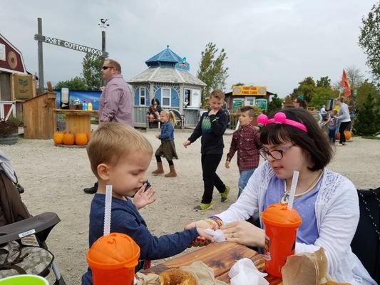 Siegel's Cottonwood Farm by null