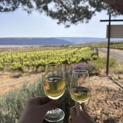 White Heron Cellars - Winery , vineyard