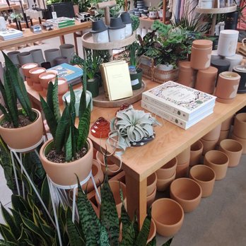 Greenwood Shop - Nurseries & Gardening Near Me - Studio City, California Greenwood Shop - Nurseries & Gardening Near Me - Studio City, California