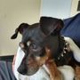 Photo of Somis Veterinary Hospital