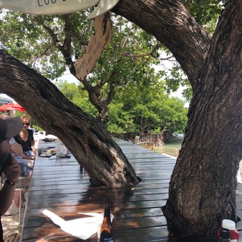 Island Grill - Tree table at Island Grill - Seafood Near Me - Islamorada, Florida