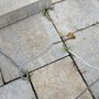 Photo of Sunny Daze Pool Repairs
