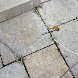 Sunny Daze Pool Repairs