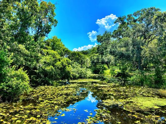 Sawgrass Lake Park by null