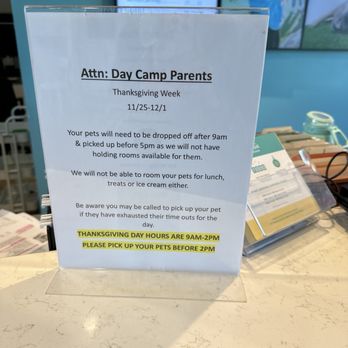 Pet Paradise Stone Oak - Day camp info - Pet Boarding Near Me - San Antonio, Texas