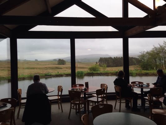 Tebay Services (Southbound) by null