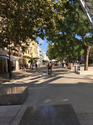 Passeig de Vara de Rey by null