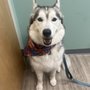 Photo of Milwaukee Vet Clinic