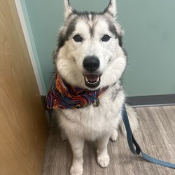 Milwaukee Vet Clinic