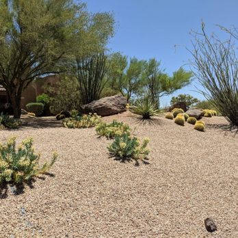 Foothills Granite - a desert landscape with cactus trees and rocks - Landscaping Near Me - Cave Creek, Arizona Foothills Granite - a desert landscape with cactus trees and rocks - Landscaping Near Me - Cave Creek, Arizona
