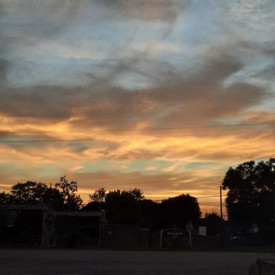 The Orange Show Center for Visionary Art by null