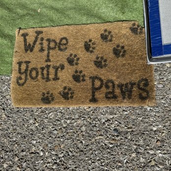 All Paws - Pet Groomers Near Me - Albuquerque, New Mexico