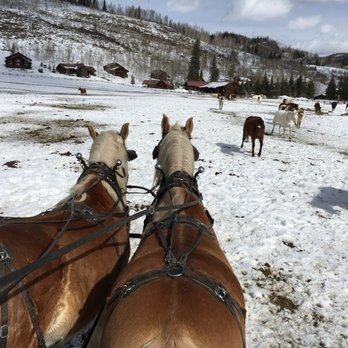 Vista Verde Ranch - On the feeding sleigh - Resorts Near Me - Steamboat Springs, Colorado Vista Verde Ranch - On the feeding sleigh - Resorts Near Me - Steamboat Springs, Colorado