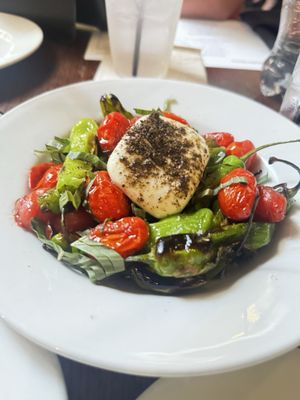 Cipollina by null Cipollina by null