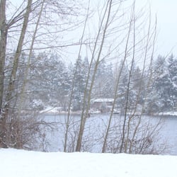 Bitter Lake Playfield - Overlooking the lake on a snowy day