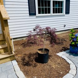 Landscaping Irrigation Cape Cod
