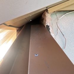Tampa Bay Pest Pros