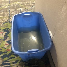 Gross water that had been sitting there for many days