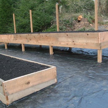 Paco's  Landscaping -  raised garden bed - Landscaping Near Me