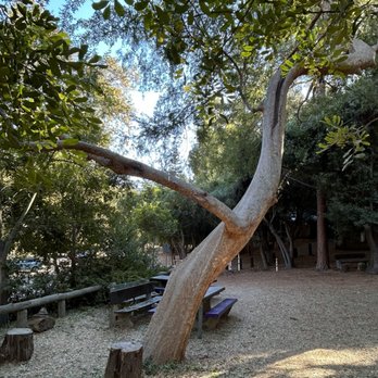 The Trails - 10/23/24 Be one with nature - Cafes Near Me - Los Angeles, California