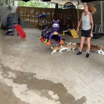 Elite Pet Resort - Cool down play area - Pet Groomers Near Me - Beaumont, Texas