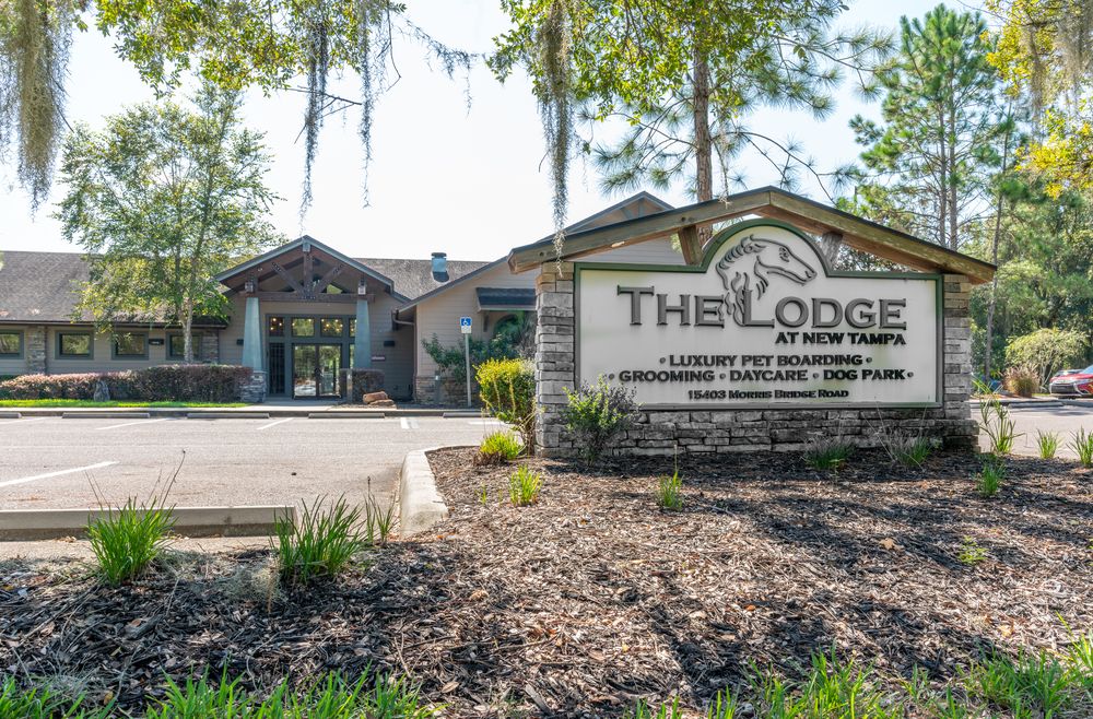 The Lodge - pet boarding facility in Thonotosassa, FL
