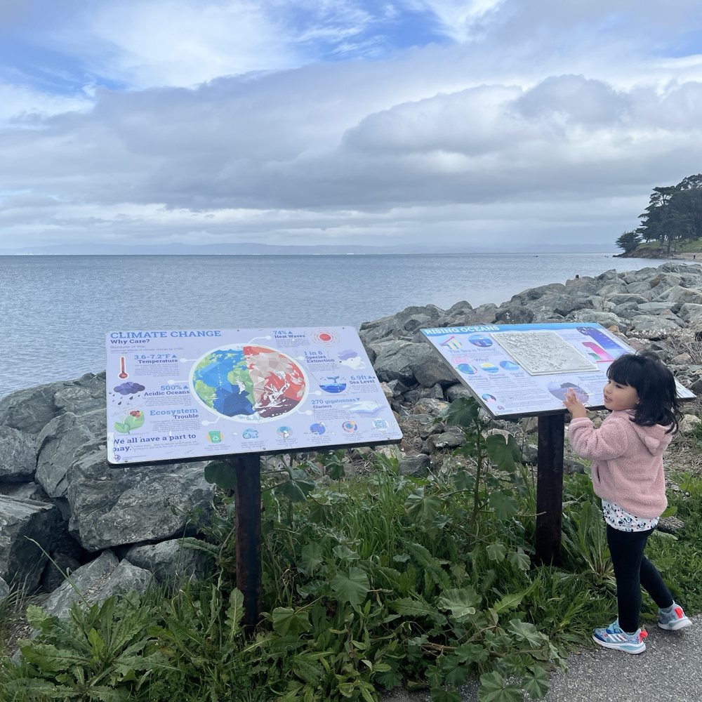 Magic Mountain Playground - Parks Near Me - San Mateo, California