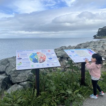 Magic Mountain Playground - Parks Near Me - San Mateo, California