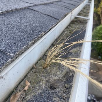 Rise Up - Years of dirt build up in gutters - Gutter Services Near Me Rise Up - Years of dirt build up in gutters - Gutter Services Near Me