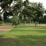 Photo of Sherwood Arboretum