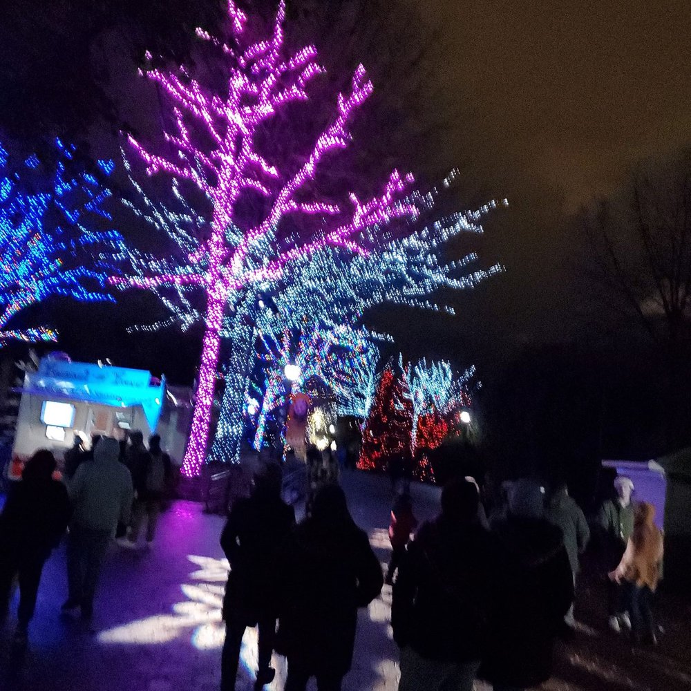 ZooLights - Zoos Near Me - Washington, DC, District of Columbia
